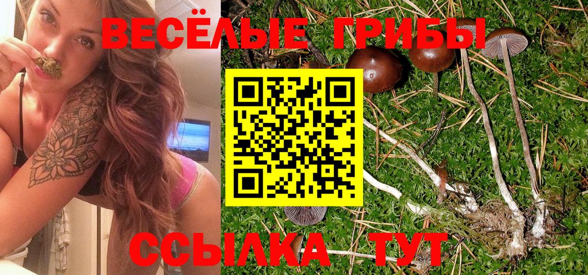 Псилоцибиновые грибы мицелий  Галлюциногенные грибы MAGIC MUSHROOMS  Вход с VPN  Гудермес 